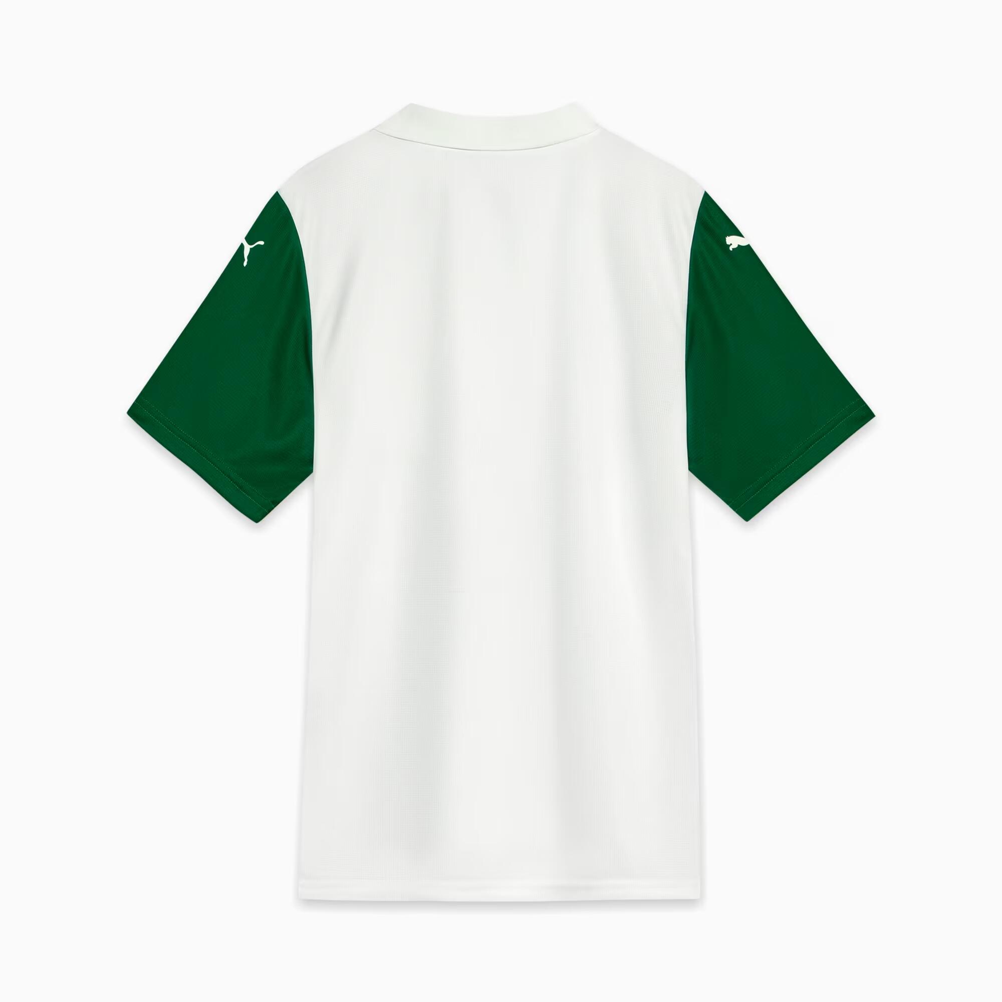 2点セット　LIDAIRPEAKS Ｔシャツ グリーン　白 Decathlon | Camisa Masculina de Futebol Palmeiras Ii Away 25/26