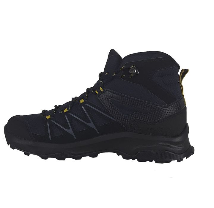daintree mid gtx